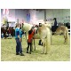 MeDo12038.jpg