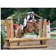 HunterCup1401.jpg