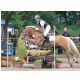 HunterCup1402.jpg