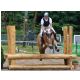 HunterCup1404.jpg