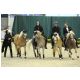 ShowTeam05.jpg