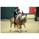 ShowTeam06.jpg