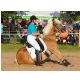 ShowTeam09.jpg
